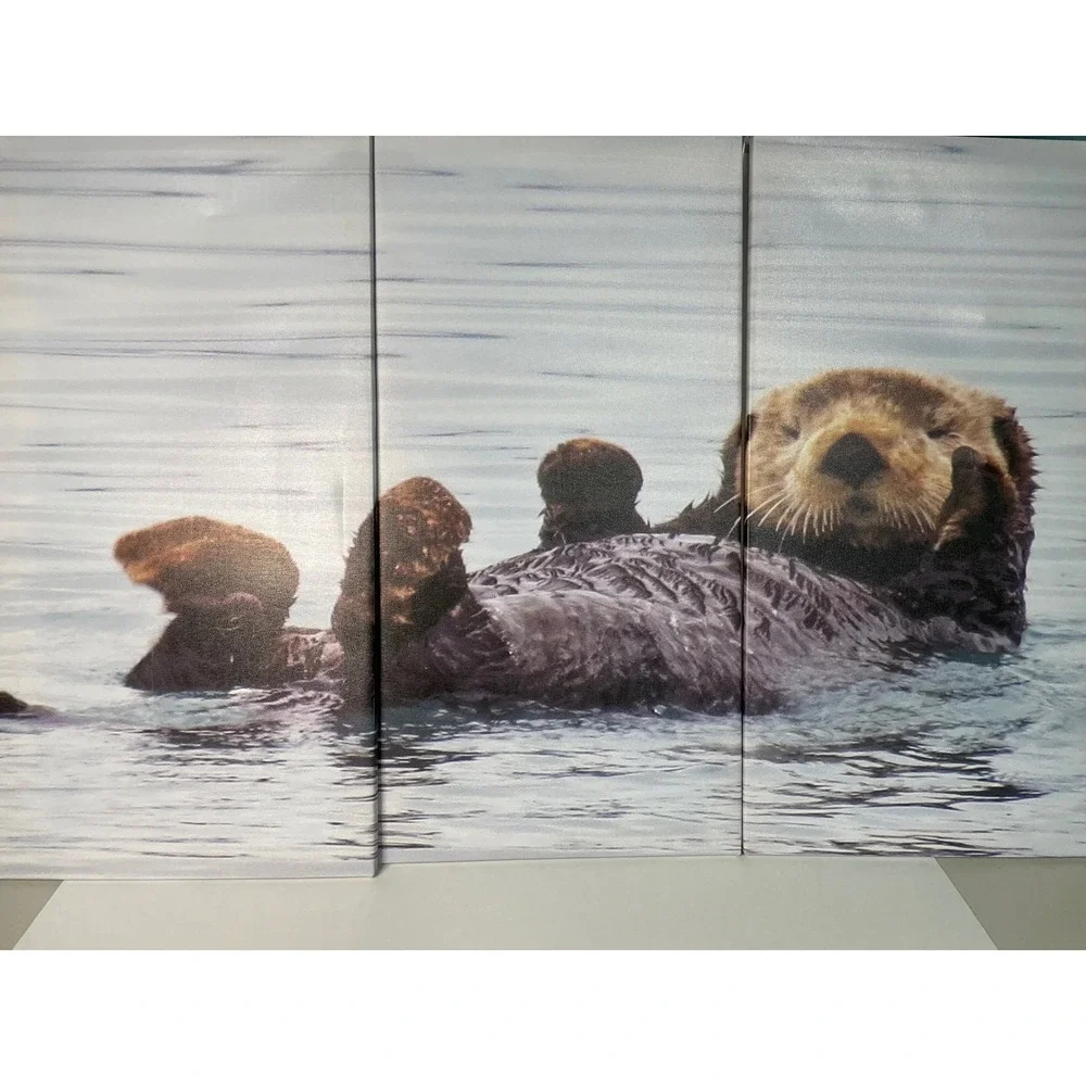 Sea Otter Canvas Wall Art Set 3 Piece 36x24 Blue Brown Excellent Decor